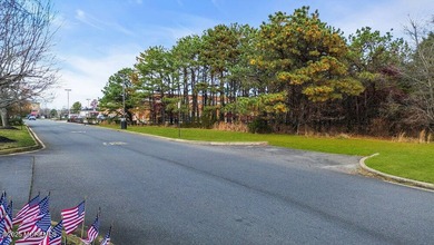 PRIME COMMERCIAL CORNER - ROUTE 37 & ST. CATHERINE BLVD RARE 1 - photo 16