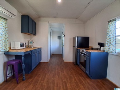 LAKE VIEW RETREAT WITH TINY HOMES, WATER ACCESS &UNLIMITED - photo 7