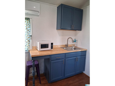LAKE VIEW RETREAT WITH TINY HOMES, WATER ACCESS &UNLIMITED - photo 8