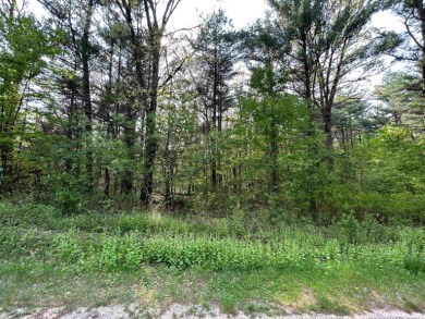 Just over 4.5 acres of land right off Lake Pentenwell in the - Lake Acreage For Sale in Arkdale, Wisconsin