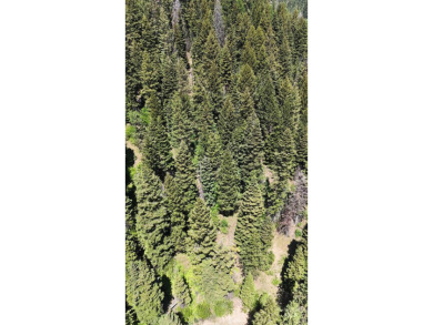 Lake Lot For Sale in Donnelly, Idaho