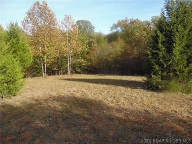 Lake of the Ozarks Lot For Sale in Stover Missouri