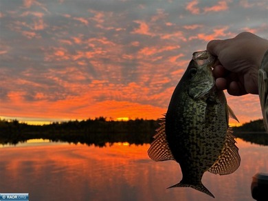 Lake Acreage For Sale in Cook, Minnesota
