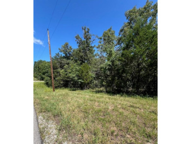 Lake Lot For Sale in Diamond City, Arkansas