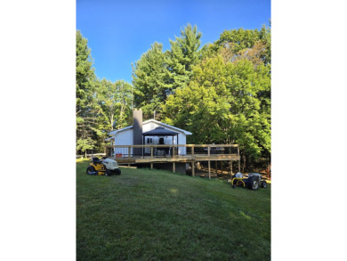 Little Lake Miramichi Home For Sale in Evart Michigan