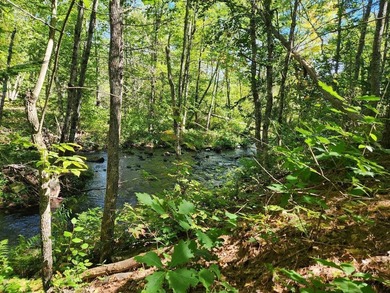 (private lake, pond, coastal) Lot For Sale in Montville Maine