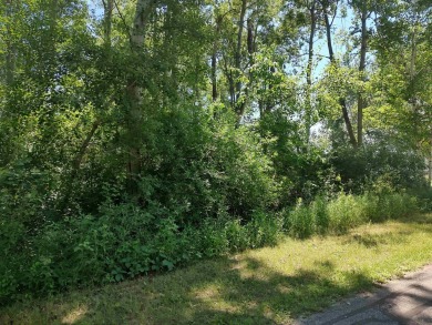 Lake Lot For Sale in Lake Isabella, Michigan