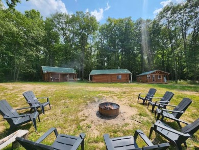Lake Home For Sale in White Cloud, Michigan