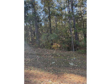 Strom Thurmond / Clarks Hill Lake Lot For Sale in Mccormick South Carolina