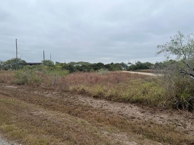 These two oversized lots give you the view of Copano Bay - photo 1