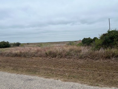 These two oversized lots give you the view of Copano Bay - photo 2