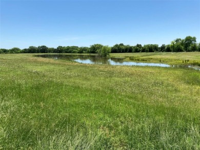 (private lake, pond, creek) Acreage For Sale in Brashear Texas