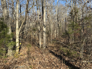 Lake Cumberland Camper/RV Lot - photo 3
