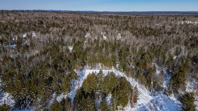 Wadley Pond Home For Sale in Lyman Maine