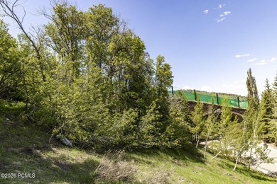 Nestled in the exclusive gated community of Deer Crest, this - photo 28