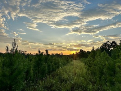 A large, gorgeous, and contiguous tract in the Avera community - photo 11