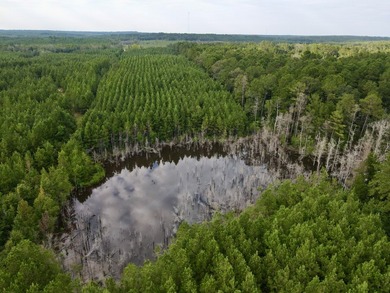 A large, gorgeous, and contiguous tract in the Avera community - photo 12