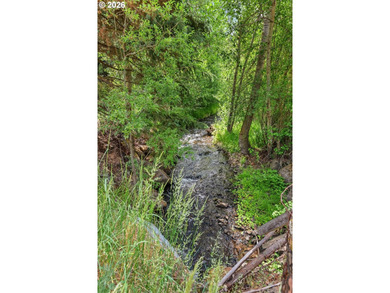 A rare legacy property on the Wallowa Mountain Loop Road, this - photo 12