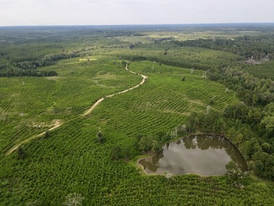 A large, gorgeous, and contiguous tract in the Avera community - photo 13