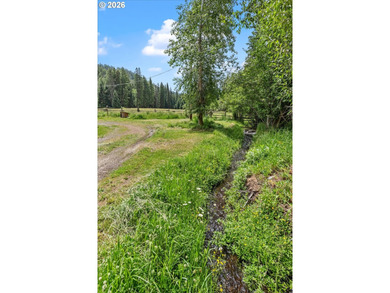 A rare legacy property on the Wallowa Mountain Loop Road, this - photo 13