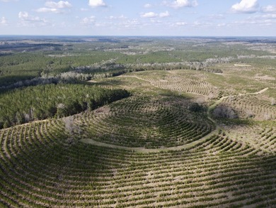 A large, gorgeous, and contiguous tract in the Avera community - photo 14