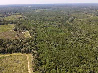 A large, gorgeous, and contiguous tract in the Avera community - photo 15