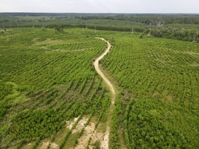 A large, gorgeous, and contiguous tract in the Avera community - photo 16