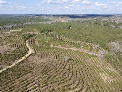 A large, gorgeous, and contiguous tract in the Avera community - photo 17