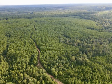 A large, gorgeous, and contiguous tract in the Avera community - photo 18