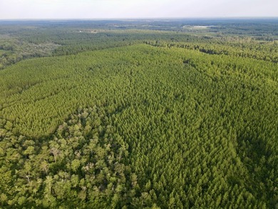 A large, gorgeous, and contiguous tract in the Avera community - photo 19