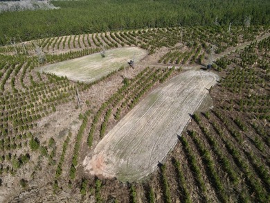 A large, gorgeous, and contiguous tract in the Avera community - photo 20