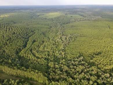 A large, gorgeous, and contiguous tract in the Avera community - photo 21