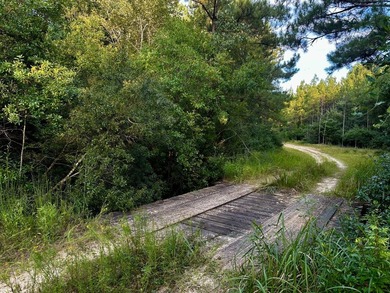 A large, gorgeous, and contiguous tract in the Avera community - photo 22