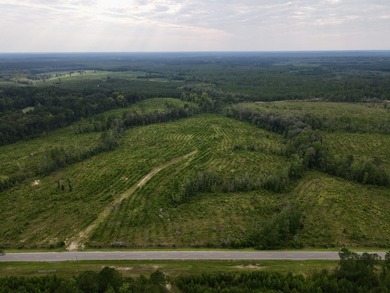 A large, gorgeous, and contiguous tract in the Avera community - photo 23