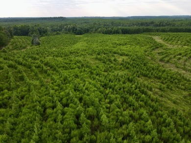 A large, gorgeous, and contiguous tract in the Avera community - photo 24