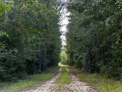 A large, gorgeous, and contiguous tract in the Avera community - photo 25