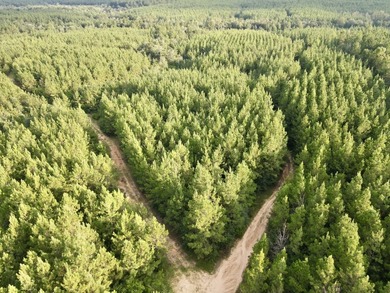 A large, gorgeous, and contiguous tract in the Avera community - photo 26