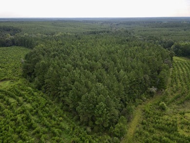 A large, gorgeous, and contiguous tract in the Avera community - photo 27