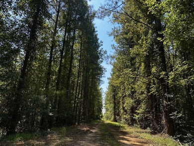 A large, gorgeous, and contiguous tract in the Avera community - photo 29