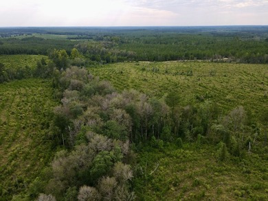 A large, gorgeous, and contiguous tract in the Avera community - photo 30