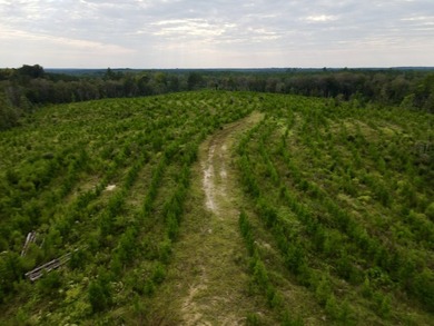A large, gorgeous, and contiguous tract in the Avera community - photo 31