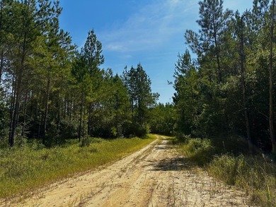 A large, gorgeous, and contiguous tract in the Avera community - photo 32