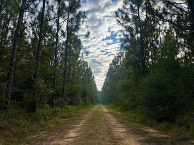A large, gorgeous, and contiguous tract in the Avera community - photo 34