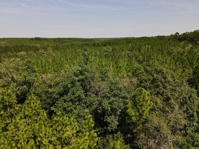A large, gorgeous, and contiguous tract in the Avera community - photo 35