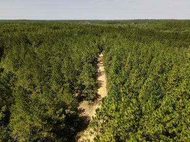 A large, gorgeous, and contiguous tract in the Avera community - photo 36