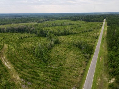 A large, gorgeous, and contiguous tract in the Avera community - photo 37