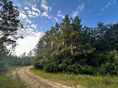 A large, gorgeous, and contiguous tract in the Avera community - photo 38