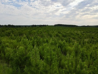 A large, gorgeous, and contiguous tract in the Avera community - photo 39