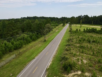 A large, gorgeous, and contiguous tract in the Avera community - photo 40