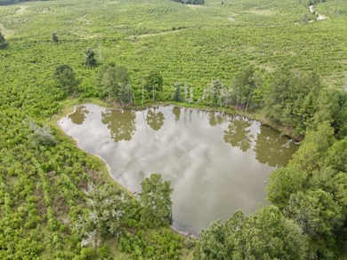 A large, gorgeous, and contiguous tract in the Avera community - photo 41